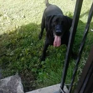 Meet your Posher, Rhys